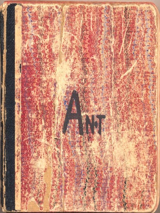 Two Sketchbooks and a Diary