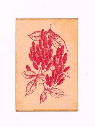 Rare Transformation Playing Card